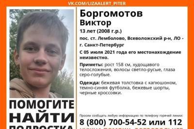 Под Петербургом без вести пропал 13-летний мальчик - spb.mk.ru - Ленинградская обл. - Санкт-Петербург - р-н Всеволожский