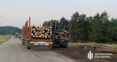 ГБР разоблачило схему по продаже «сгоревшей» на пожарах в Луганской области древесины на миллионы гривен. ФОТО. ВИДЕО - cxid.info - Луганская обл. - Северодонецк