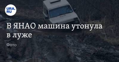 В ЯНАО машина утонула в луже. Фото - ura.news - Ноябрьск - Югра - окр. Янао