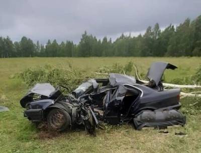 В Курганской области пьяный водитель слетел с дороги и врезался в дерево - znak.com - Курганская обл. - Шадринск