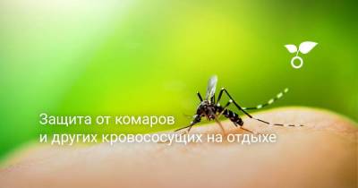 Защита от комаров и других кровососущих на отдыхе - skuke.net