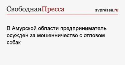В Амурской области предприниматель осужден за мошенничество с отловом собак - svpressa.ru - Амурская обл. - респ.Бурятия - Чита