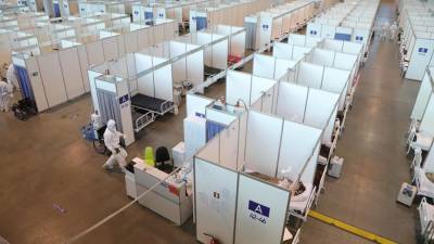 В России впервые зафиксировали более 700 смертей, каждый восьмой в Петербурге - dp.ru - Россия - Ленинградская обл. - Санкт-Петербург