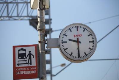 «Ласточки» начнут летать из Петербурга в Великий Новгород быстрее - spb.mk.ru - Санкт-Петербург - Великий Новгород