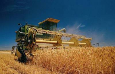 Ускорение уборки пшеницы в Украине продолжит давление на цены - agroportal.ua - Украина - Австралия