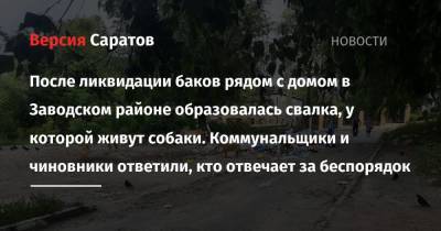 После ликвидации баков рядом с домом в Заводском районе образовалась свалка, у которой живут собаки. Коммунальщики и чиновники рассказали, кто отвечает за беспорядок - nversia.ru - Саратов
