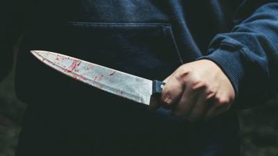 Исполосована ножом: в Подмосковье зверски убита художница Анастасия Огрызкова - 5-tv.ru - Московская обл. - Московская область