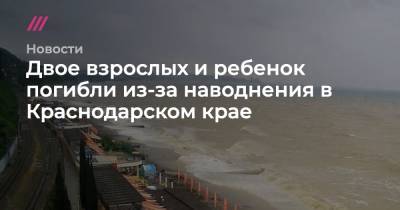 Двое взрослых и ребенок погибли из-за наводнения в Краснодарском крае - tvrain.ru - Анапа - Сочи - Краснодарский край