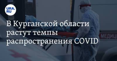 В Курганской области растут темпы распространения COVID - ura.news - Россия - Курганская обл.