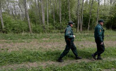 В Польше задержали 40 афганских нелегалов из Беларуси - naviny.by - Белоруссия - Польша - Афганистан