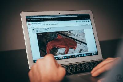 Учёные АГУ разработали приложение для идентификации астраханских рыб - ast.mk.ru - Астраханская обл.