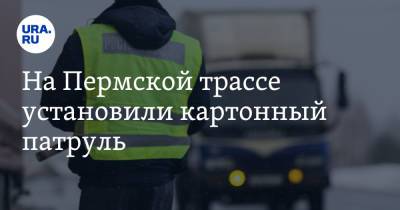 На Пермской трассе установили картонный патруль. Фото - ura.news - Пермь - Пермский край