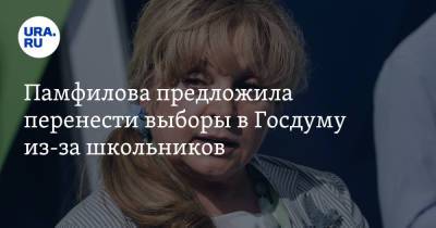 Элла Памфилова - Памфилова предложила перенести выборы в Госдуму из-за школьников - ura.news - Россия