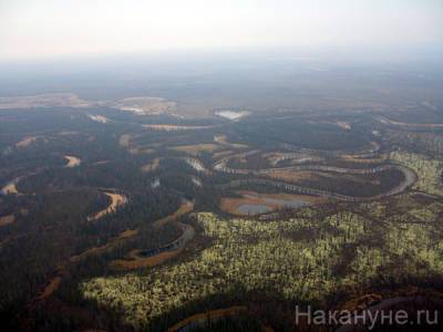 На одном из месторождений в Югре найдено загрязнённое пожарами озеро - nakanune.ru - Югра