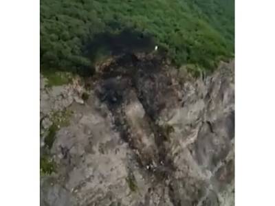 Опубликовано видео с места крушения пассажирского самолета на Камчатке - rosbalt.ru - Россия - Петропавловск-Камчатский