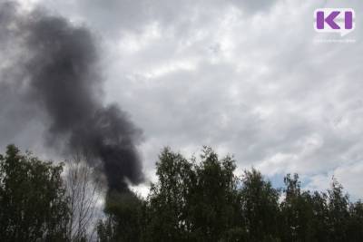 В Печоре вспыхнул первый для района в сезоне лесной пожар - komiinform.ru - респ. Коми - Сосногорск - Печорск