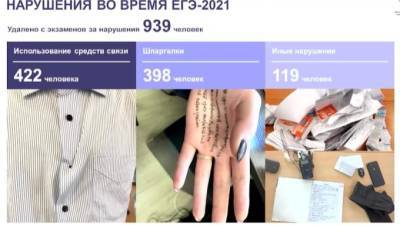 Анзор Музаев - В России ЕГЭ-2021 удалили 939 человек - piter.tv - Россия