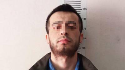 В Петербурге мигрант делал ремонт и отправлял деньги террористам - dp.ru - Россия - Сирия - Санкт-Петербург