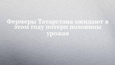 Фермеры Татарстана ожидают в этом году потери половины урожая - chelny-izvest.ru - респ. Татарстан - район Тукаевский