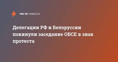 Петр Толстой - Делегации РФ и Белоруссии покинули заседание ОБСЕ в знак протеста - ren.tv - Москва - Россия - Белоруссия - Минск