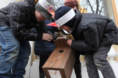 Петербуржцев призвали не спасать птенцов чаек и рассказали, как их отличить от бакланов - neva.today - Санкт-Петербург - Экология