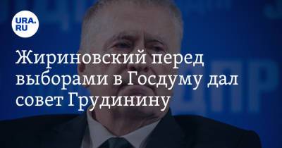 Павел Грудинин - Владимир Жириновский - Жириновский перед выборами в Госдуму дал совет Грудинину - ura.news - Россия - Московская обл.