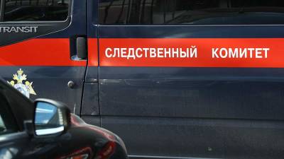 СК возбудил дело после убийства женщины и ранения ее матери в Бронницах - iz.ru - Россия - Израиль - Московская обл.