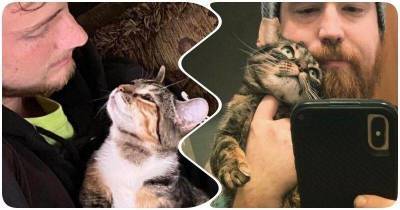 16 котов-подхалимов, которые демонстрируют хозяевам взгляд любви - skuke.net