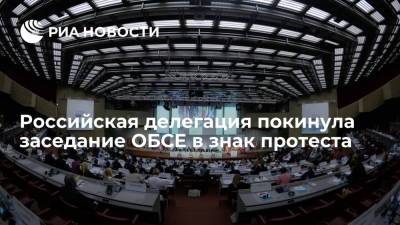 Петр Толстой - Российская делегация покинула заседание ПА ОБСЕ в знак протеста против нарушения регламента - ria.ru - Москва - Россия - Украина - Крым - Вена