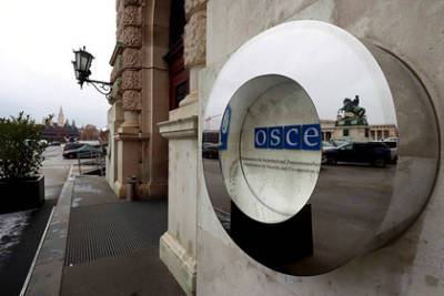 Петр Толстой - Делегация России отказалась участвовать в заседании ОБСЕ - lenta.ru - Россия - Украина - Крым - Вена