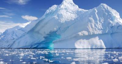 В озерах Антарктиды обнаружены удивительные формы жизни, питающиеся камнями - focus.ua - Украина - Антарктида