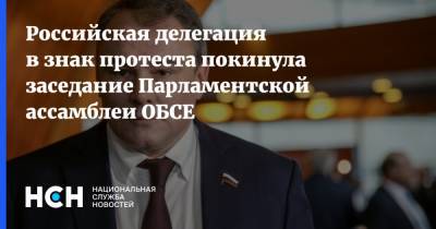 Петр Толстой - Российская делегация в знак протеста покинула заседание Парламентской ассамблеи ОБСЕ - nsn.fm - Россия - Украина - Крым