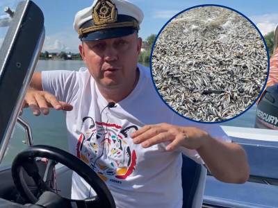 Экологическая катастрофа на Дону - bloknot.ru - Ростовская обл. - Волгодонск