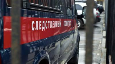 В Крыму завели уголовное дело из-за падения футбольных ворот на ребёнка - russian.rt.com - Россия - Крым - Севастополь