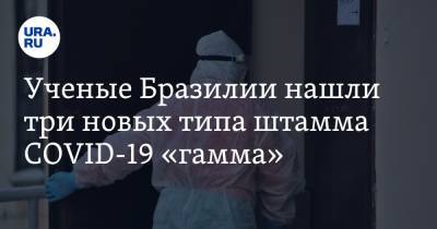 Ученые Бразилии нашли три новых типа штамма COVID-19 «гамма» - ura.news - Бразилия
