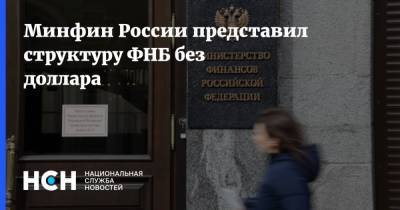 Минфин России представил структуру ФНБ без доллара - nsn.fm - Россия - США