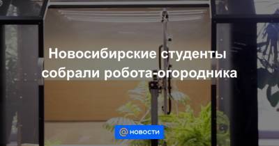 Новосибирские студенты собрали робота-огородника - news.mail.ru - Новосибирск