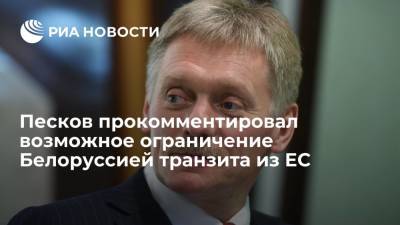 Дмитрий Песков - Александр Лукашенко - В Кремле не исключили нарушения экспортно-импортных цепочек из-за санкций против Белоруссии - ria.ru - Москва - Россия - Белоруссия - Минск - Европа