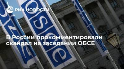 Леонид Слуцкий - Петр Толстой - Российские парламентарии раскрыли подробности скандала на заседании ОБСЕ - ria.ru - Москва - Россия - Крым - Вена