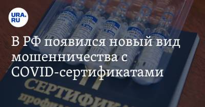 Игорь Краснов - Евгения Лазарева - В РФ появился новый вид мошенничества с COVID-сертификатами - ura.news - Россия