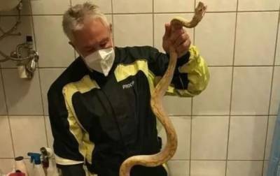 В Австрии мужчину укусила змея во время сидения на унитазе - korrespondent.net - Австрия - Украина