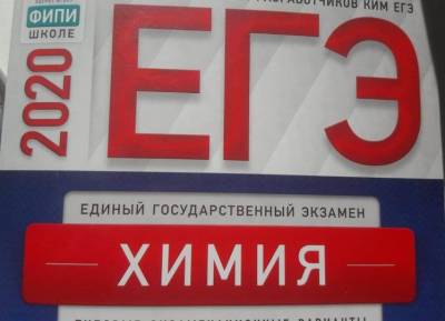 Айбулат Хажин - В Башкирии вырос средний балл по ЕГЭ - ufacitynews.ru - Башкирия