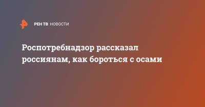 Роспотребнадзор рассказал россиянам, как бороться с осами - ren.tv