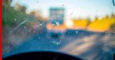 Как отмыть насекомых с лобового стекла автомобиля: простой и эффективный способ - profile.ru