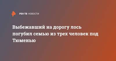 Выбежавший на дорогу лось погубил семью из трех человек под Тюменью - ren.tv - Ханты-Мансийск - Тюмень - Тюменская обл.