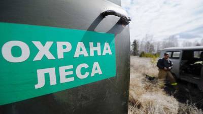 Виктория Абрамченко - В России ужесточат охрану лесов - iz.ru - Россия - Израиль