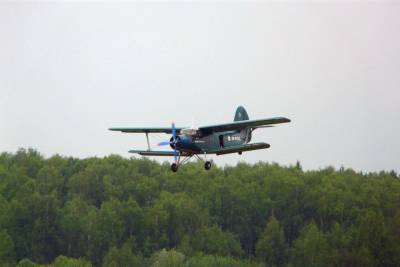 Ан-26 не подавал аварийных сигналов перед крушением на Камчатке - mk.ru - Камчатский край