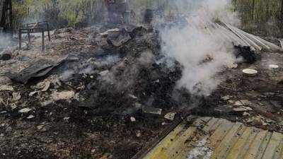Пять детей и один взрослый погибли при пожаре под Смоленском - iz.ru - Смоленск - Израиль - Смоленская обл.