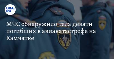 МЧС обнаружило тела девяти погибших в авиакатастрофе на Камчатке - ura.news - Россия - Камчатский край