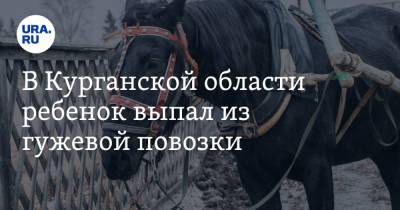 В Курганской области ребенок выпал из гужевой повозки. Родители отсудили 100 000 рублей - ura.news - Курганская обл. - район Шадринский
